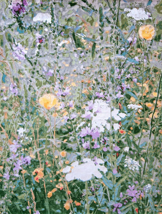 Wildflowers Spring