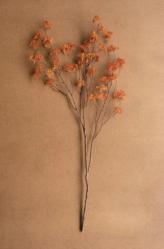 Rice Flower Stem Rust