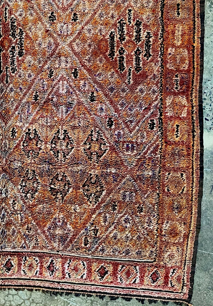 Moroccan Berber