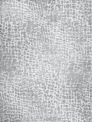 Echo Cloud